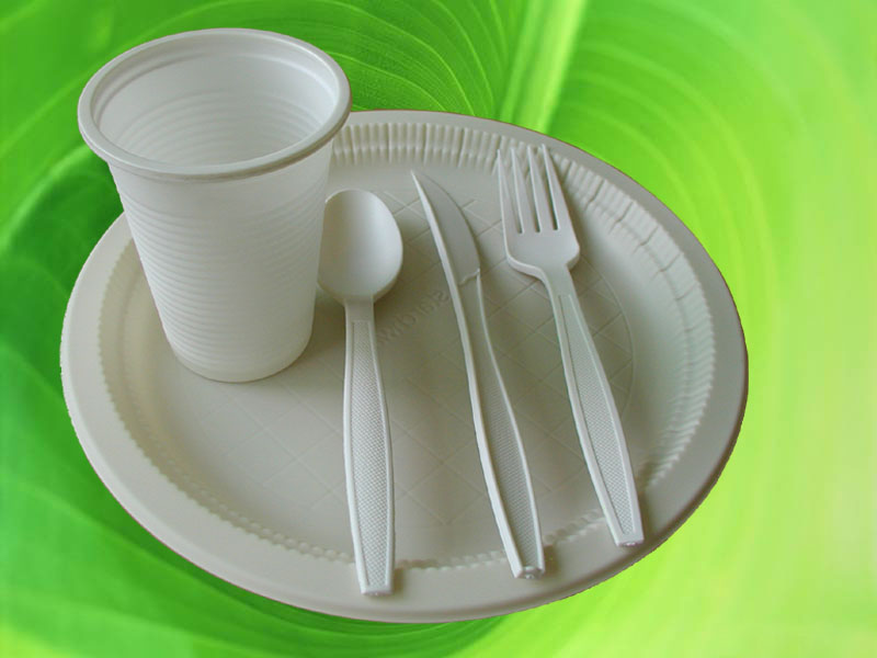 Biodegradable Flatware