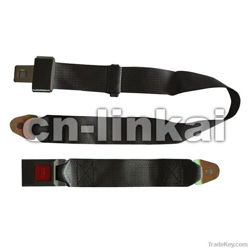 2-point autocar safety harness