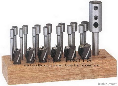 21pcs Inerchangeable Pilot Counterbore Sets