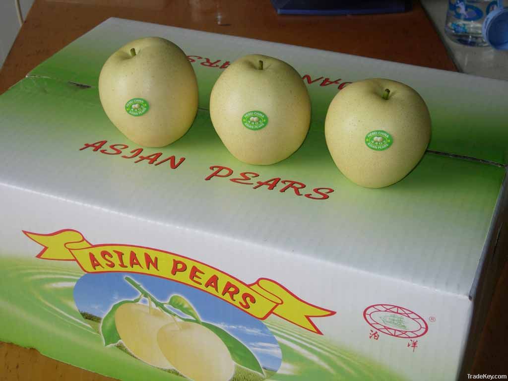 2012 fresh crown pear