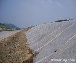 Nonwoven Geomembrane