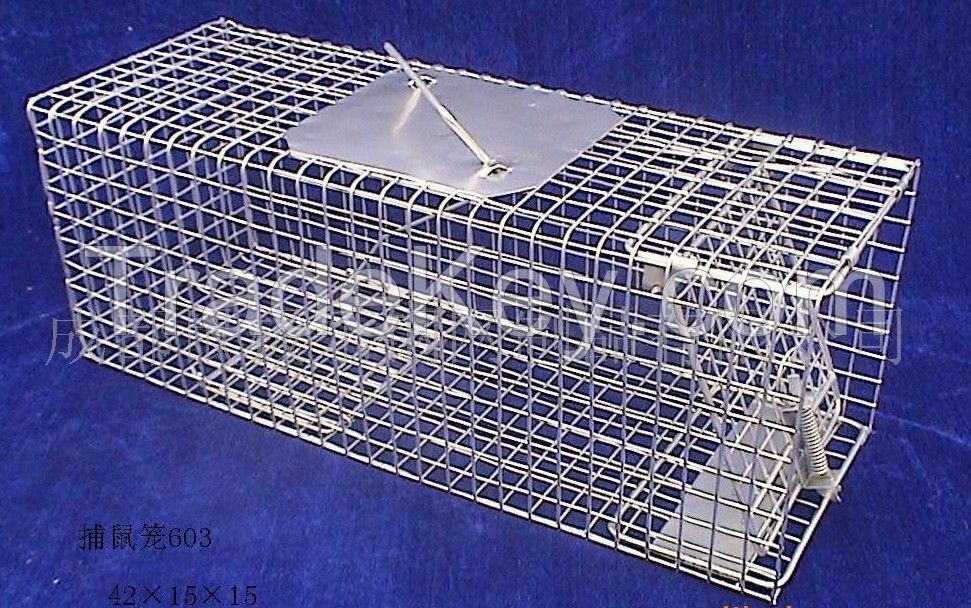 live animal trap cage