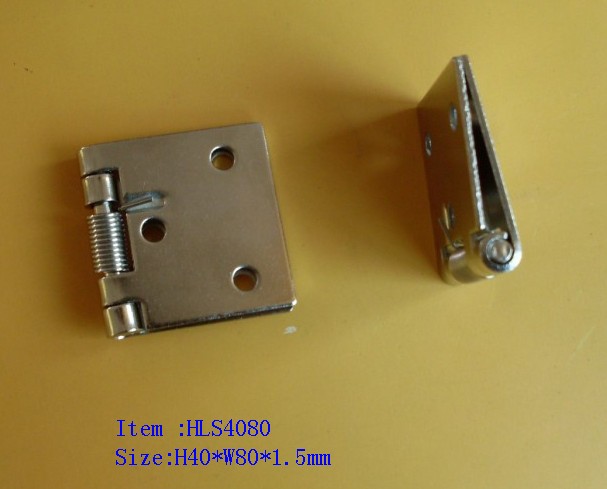 spring small hinge