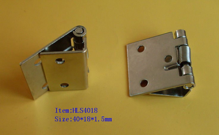 spring small hinge