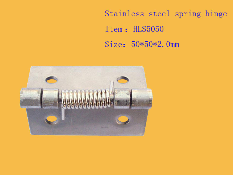 spring heavy hinge, stainless steel spring hinge