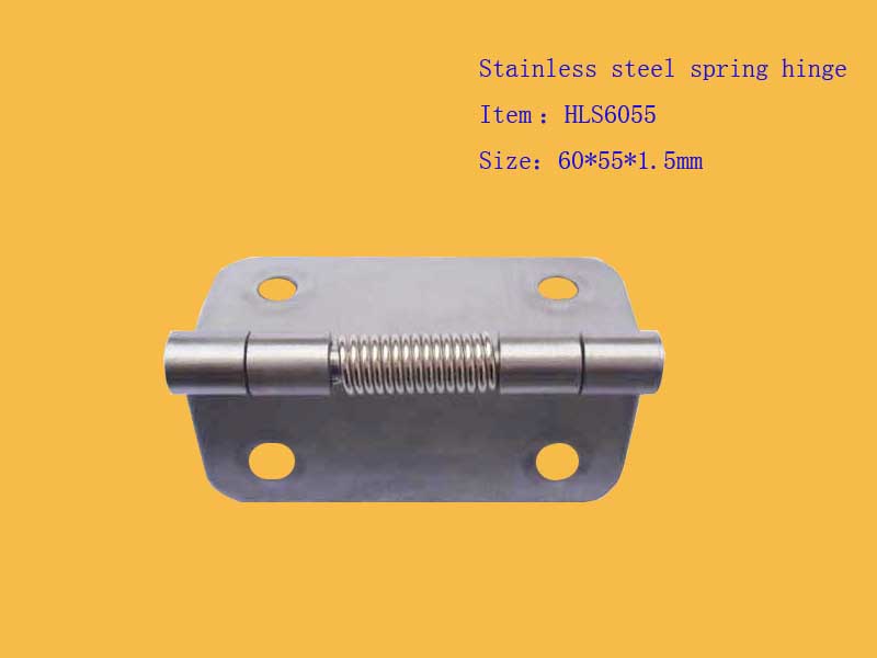 spring heavy hinge, stainless steel spring hinge