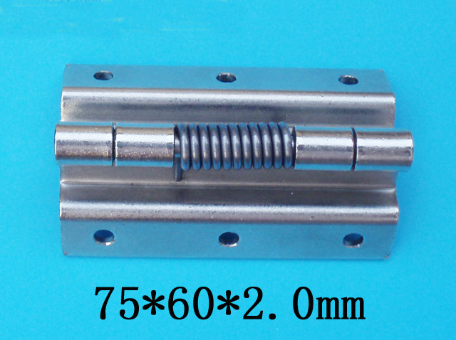 stainless steel spring hinge