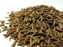 caraway oil