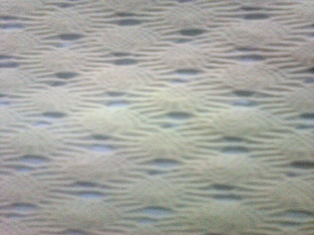 warp knitted fabric