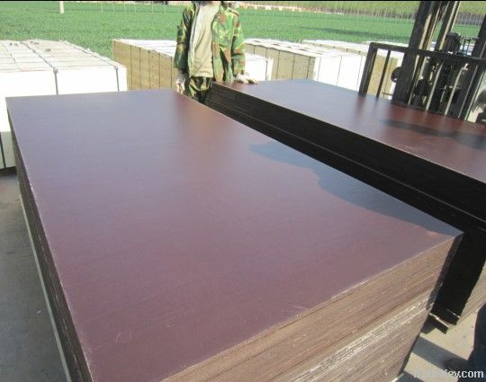brown dynea film faced plywood