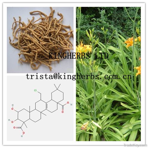 Radix Polygalae Extract