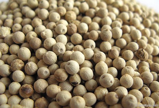 white pepper