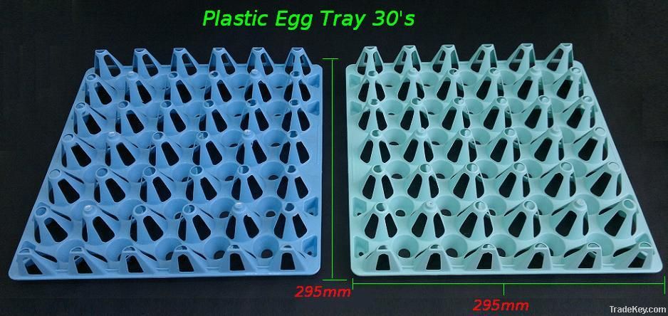 Plastic Egg Tray 30&#039;s