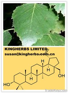 Birch Leaf Extract