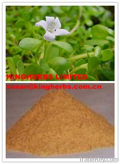 Bacopa Monnieri Extract