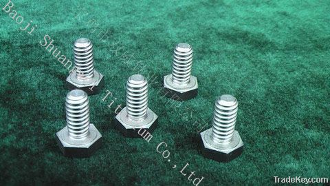 Titanium bolts