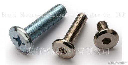 Titanium bolts