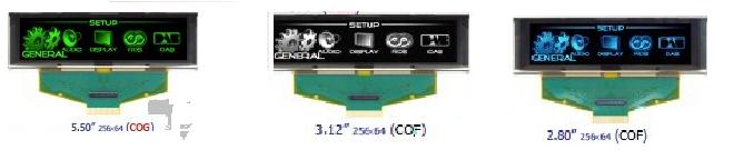 OLED display module