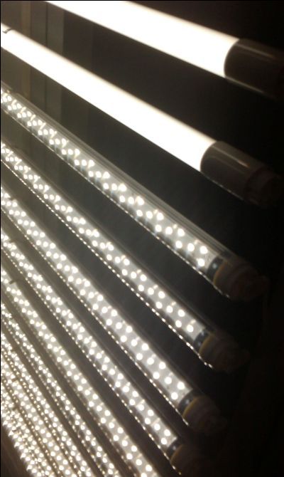 LED T8 Tube