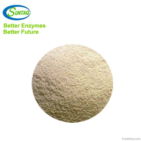 Concentrated Mannanase Powder Enzyme for Animal Feed Industry