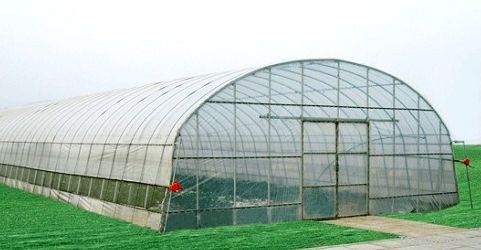 Agricultural Tunnel Greenhouse