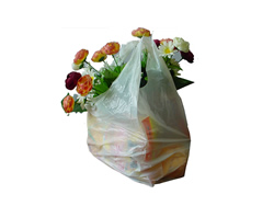 Food Containers