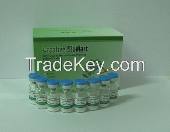 Acetyl Tripeptide-82