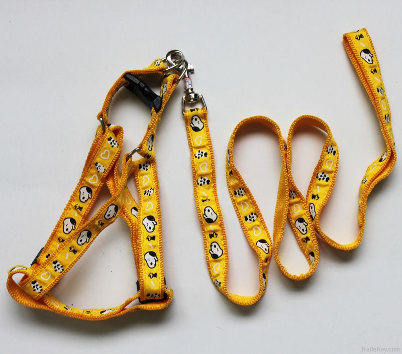 pet collars and leashes