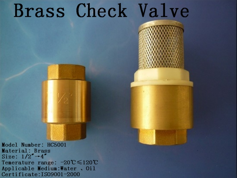 check valve