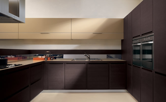 Kitchen Cabinet / Interior Decoration