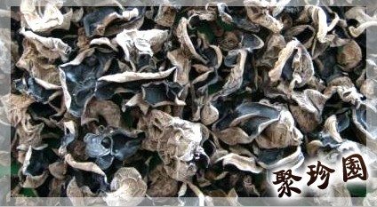 Black Fungus