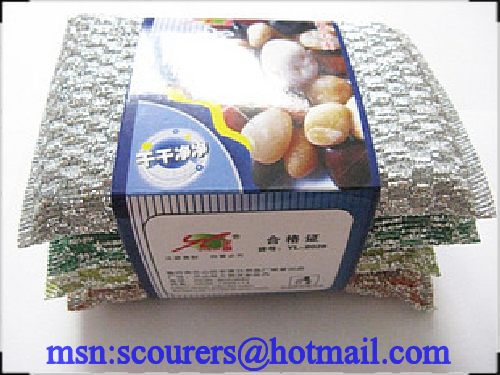 Scouring Pad (PET and Sponge, ISO 9001)