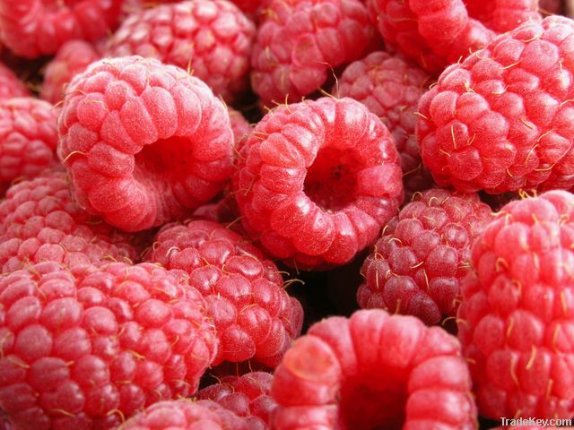 IQF RASPBERRY