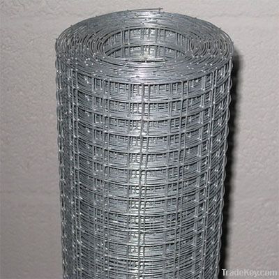 Welded Wire Mesh (HY-HWWM-3008)