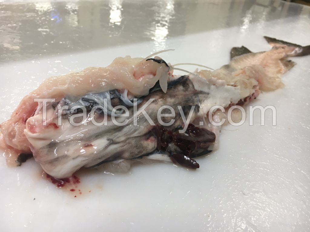 Cod Backbone with Swim Bladder