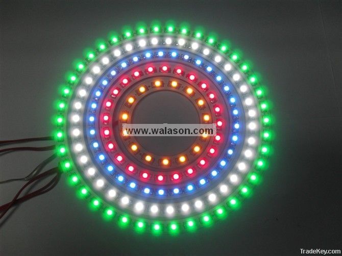 Led Angel eye D40-WG-12SMD-3528