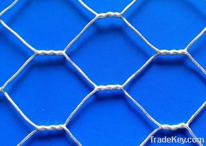 Hexagonal Wire Netting