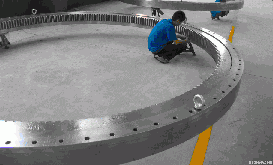 Slewing bearing for Tunnel Boring Machine