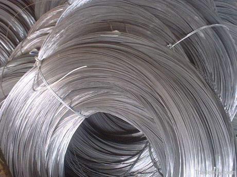 galvanized mesh