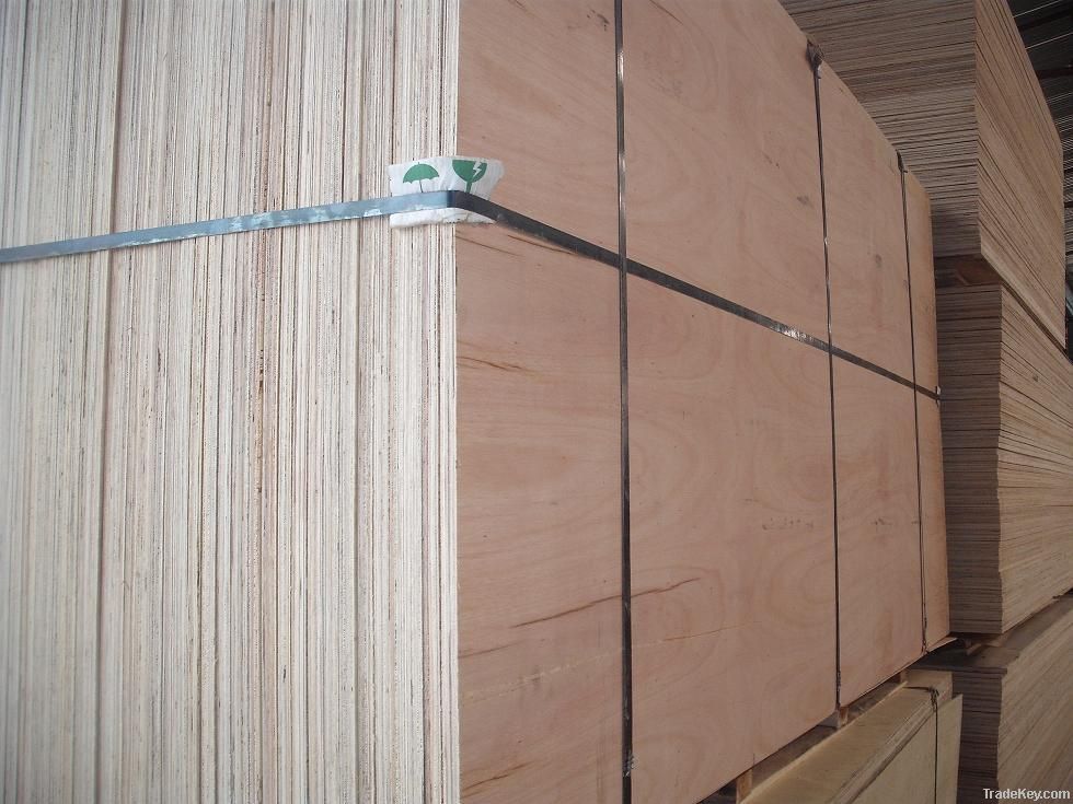 Plywood