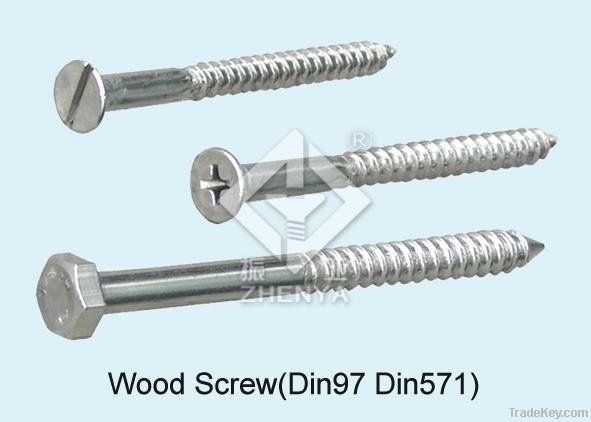 stainless steel screw(self-tapping/machine screw)