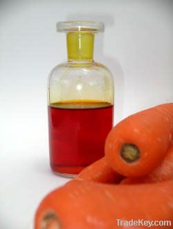 CARROT SEED OIL