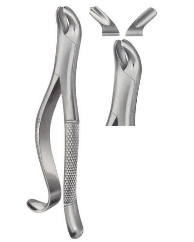 Dental Extracting Forceps American Pattern Dental Instruments