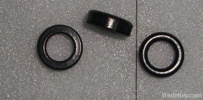 magnetic ring