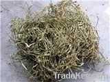 White Willow Extract