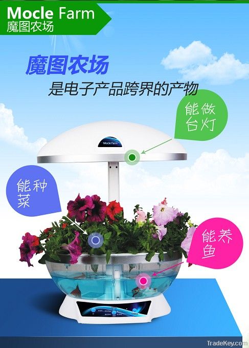 MOCLE fish tank is a garden centre (smart garden)