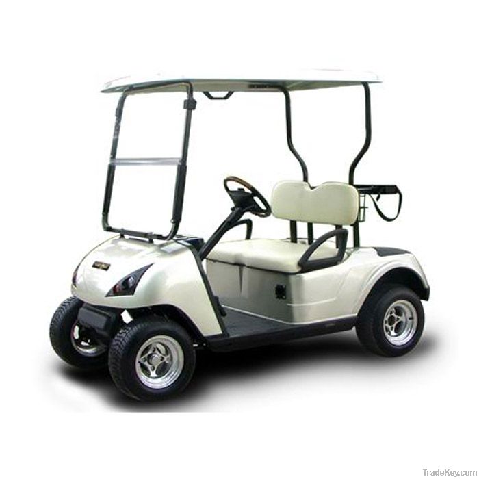 2 seater golf cart