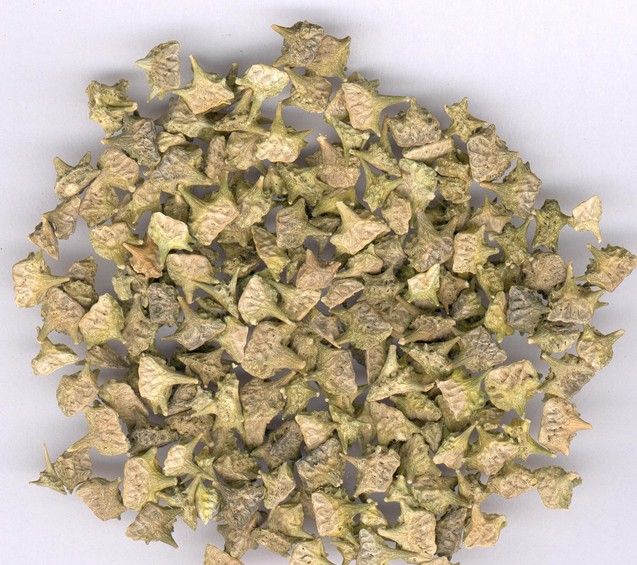 Tribulus Terrestris Extract