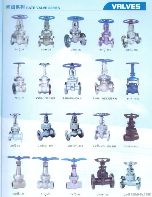 gate/butterfly/ball/plunger/needle valves and pumps