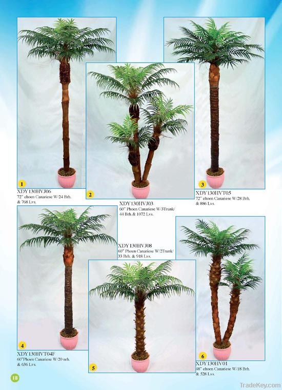 Palm Tree